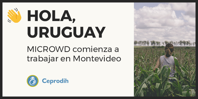 |MICROWD. - Uruguay